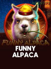 Funny Alpaca